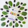 Garden of Life My Kind Organic Vegan Prenatal Daily Multivitamin Tablets - 30ct - image 4 of 4