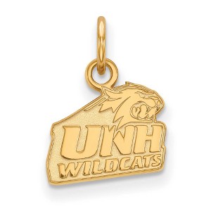 Black Bow Jewelry 10k Yellow Gold New Hampshire Wildcats NCAA Extra Small Pendant - 1 of 3