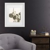 Trademark Fine Art - Shot by Clint Mexi Catus 02 Matted Framed Art - 2 of 4
