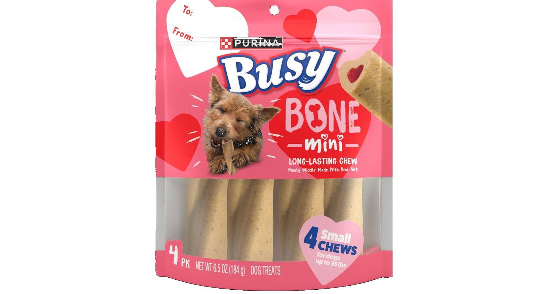 Busy Pork Flavor Mini Heart Bones Dog Treat - 6.5oz