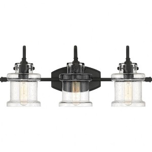 Quoizel Lighting Danbury 3 - Light Vanity in  Earth Black - 1 of 1