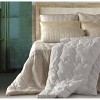 Depera Home King Medium Luxury 100% Cotton Pillow White - 2 of 2