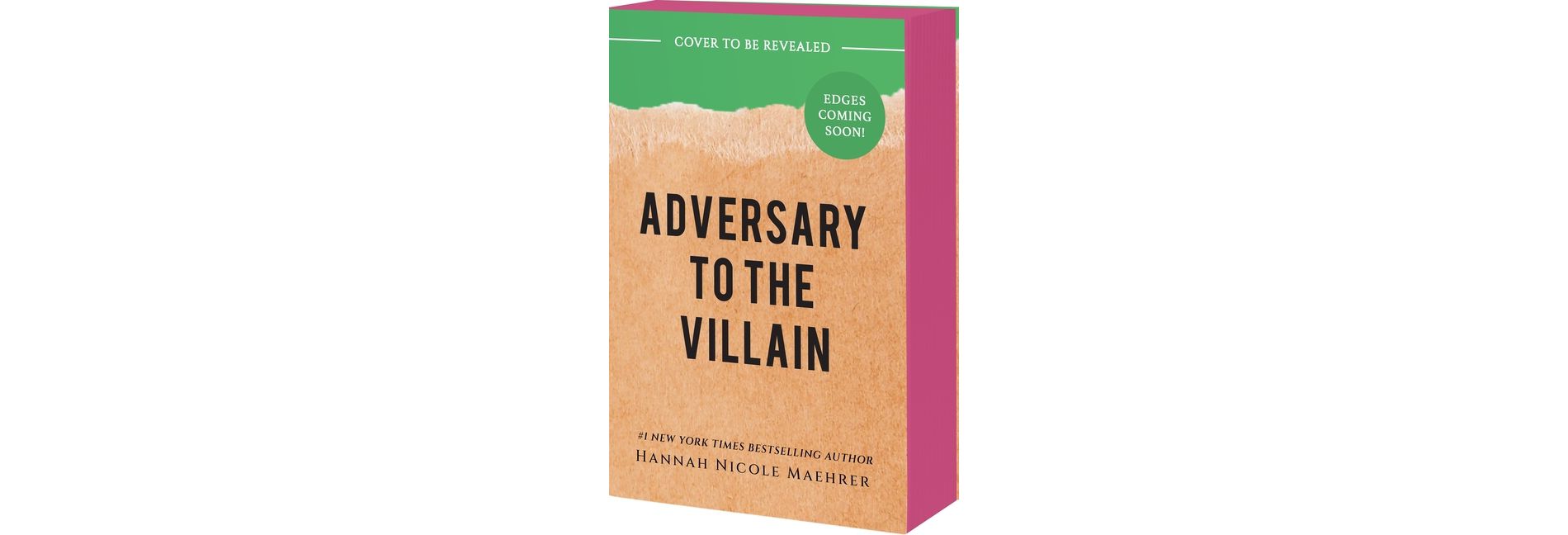 Adversary to the Villain - by  Hannah Nicole Maehrer (Paperback)