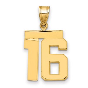 Black Bow Jewelry 14k Yellow Gold, Athletic Collection Medium Polished Number 16 Pendant - 1 of 3