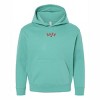 The Juniper Shop Embroidered Babe Heart Youth Hoodie - 2 of 4