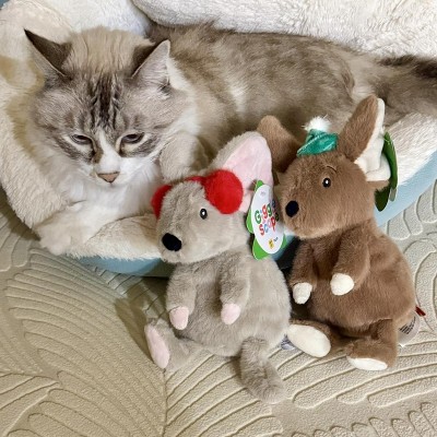 Guest review image 1 of 1, zoom in