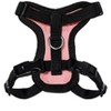 Step-in Lock Adjustable Cat Harness w. Cat Leash Combo Set with Neoprene Handle 5ft - Small, Medium and Large Breed Cats - 2 of 4