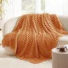 Bedsure | Indulge in Comfort Bed Blanket with Unique Chunky Corduroy Texture - 4 of 4