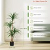 4 ft/5 ft/6 ft Dracaena Trees Artificial Indoor Tall Faux Tree with Natural Wood Trunk and Moss - 3 of 4