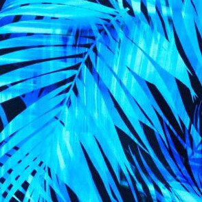 blue electric palm
