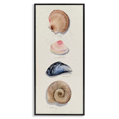 Stupell Industries Traditional Nautical Sea Shells, 13" x 30"