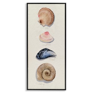 Stupell Industries Traditional Nautical Sea Shells, 13" x 30" - 1 of 4