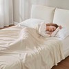 Sapphtopaz 66"W x 90"L Micro Fleece Blanket, Grid Pattern Cooling Blanket Twin Size, Anti-Pilling Throw Blanket for Bed, Twin Blanket - 3 of 4