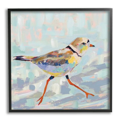 Stupell Industries Coastal Plover Abstract Bird Framed Giclee