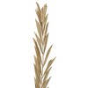 Vickerman Natural Botanicals 27" Rahul Stick Natural 8 Stems/Bunch. Each rahul stick measures about 27 inches tall and 3.9 to 4.3 inches wide. It - 2 of 4