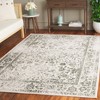 Adirondack ADR109 Non-Shedding Power Loomed Indoor Rug - Safavieh - 2 of 4