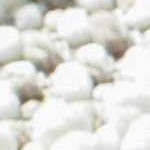 ivory, beige, lightgray