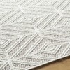 Hauteloom Bunim Area Rug - 4 of 4