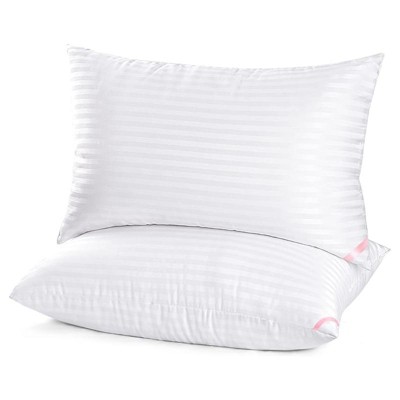 BRINJOY Queen Size Sleep Pillows 2-Pack - Ultra-Soft Down Alternative Microfiber Pillows for Side & Back Sleepers