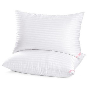 BRINJOY Queen Size Sleep Pillows 2-Pack - Ultra-Soft Down Alternative Microfiber Pillows for Side & Back Sleepers - 1 of 4