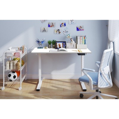 NicBex 47.24 Inch Electric Standing Desk,Dual Motor Adjustable Height Home Office Desk,Sit Stand up Desk for Bedroom,Living Study Room