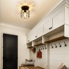DORESshop 6 in. 1-Light Black Industrial Semi-Flush Mount Ceiling Light with Metal Cage Shade for Porch Hallway - 3 of 4