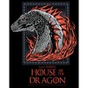 Men's Game of Thrones: House of the Dragon Fire Dragon Portrait T-Shirt - 2 of 4