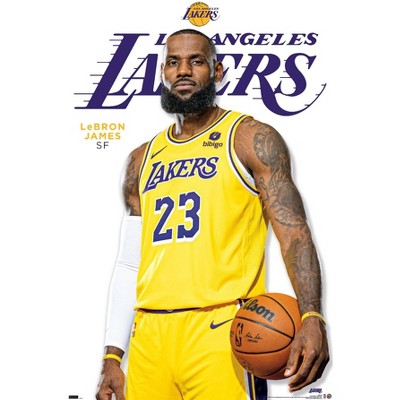 LeBron James In Los Angeles Lakers Blue Sports Dress HD Lakers