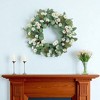 HomeRoots 23" White And Green Mixed Assortment Artificial Wreath - 2 of 4