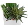 Artificial Plant, 7" Tall, Succulent, Indoor, Faux, Fake, Table, Greenery, Potted, Set Of 2, Decorative, Green Plants, White Ceramic Pots - 4 of 4
