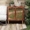 JIONJOY 2-Door Modern Farmhouse Accent Cabinet with Mirror Fronts - 2 of 4