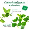 Bigelow Mint Medley Herbal Tea case of 6/18 - 2 of 4