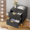 Coolmee 2 Drawer Dresser, Small Dresser Chest of Drawers, Modern Nightstand for Bedroom, End Table with Drawer for Living Room, Hallway, Entryway - 4 of 4