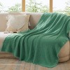 Bedsure Throw Blanket for Couch - Decorative Woven Throw Gifts with Tassels, Soft and Lightweight Farmhouse Blankets for Couch and Sofa - 2 of 4