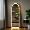 FURNIinspire Full Length Mirrors Floor Standing Mirror With Stand, Wall Mounted Hanging Full-Body Mirror For Bedroom, Dressing Room, White, 20"*63" - 2 of 4