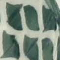 sage floral