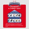 Armstrong Wild Bird Food Cranberry and Cherry Suet Cake, 11.3oz (Pack of 12) - 4 of 4