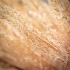 Sullivans Artificial Dried Reed Stem 48"H - 2 of 4