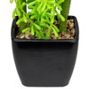 Northlight Potted Artificial Succulent Arrangement - 6" - 4 of 4