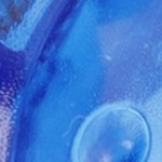 transparent blue