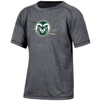 NCAA Colorado State Rams Boys' Gray Poly T-Shirt