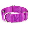 Country Brook Petz HossFit Jr Wide Martingale Dog Collar - Training Collar with No Buckle - Vibrant, Colorful Collection - 2 of 4