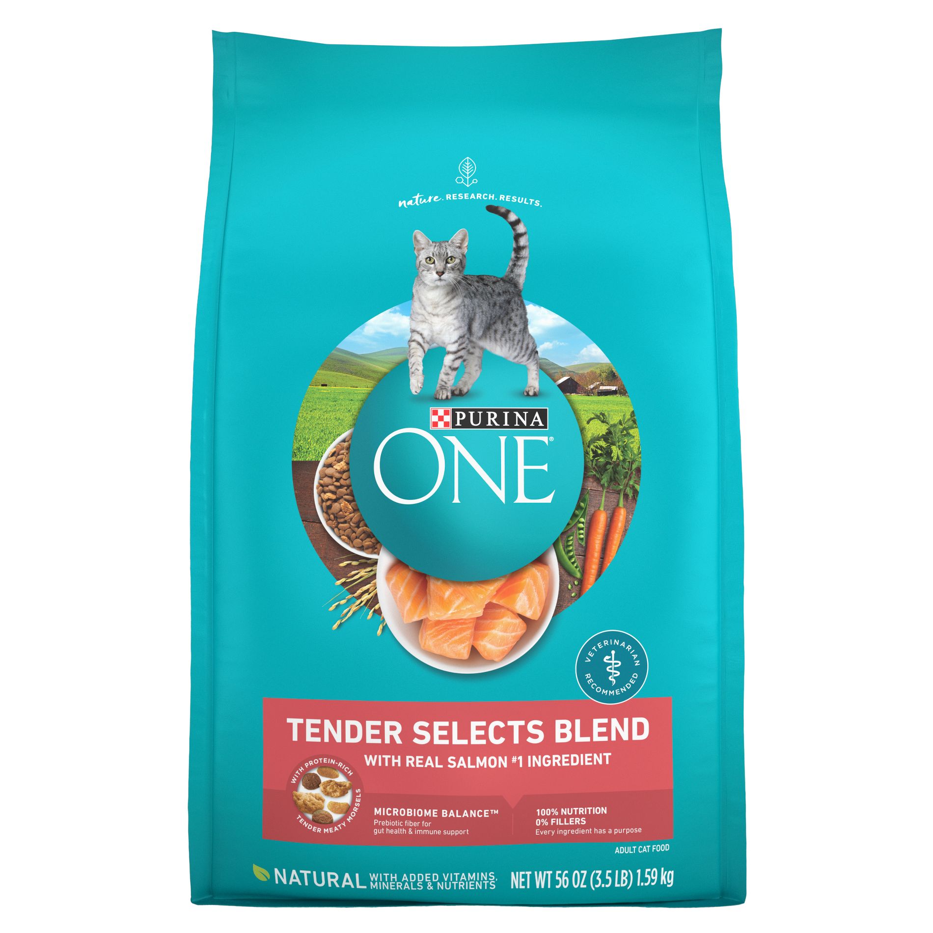 Purina ONE Tender Selects Blend Natural Real Salmon & Fish Flavor Dry Cat Food