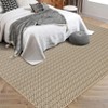 Vintage Print Area Rug,8x10Ft Boho Non-Slip Indoor Carpet with Realistic Braided Texture,Stain Resistant Distressed Print Mat - 3 of 4