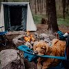 WHITE DUCK Prota Canvas Cabin Tent Deluxe Water Repellent 4-Season Tent for Camping - 3 of 4