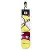 Odd Sox, Gross Bob, Funny Novelty Socks, Large - 4 of 4