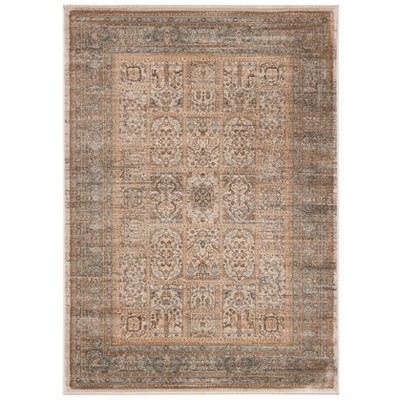 Vintage VTG570 Power Loomed Area Rug Ivory / Light Blue 4' X 5'-7" - Safavieh.