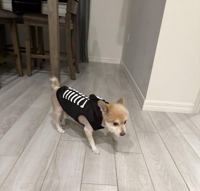 Guest review image 1 of 1, zoom in