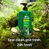Irish Spring Original Clean Body Wash for Men - 30oz Pump - 4 of 4