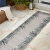 Isla Coastal Cottage Palm Frond Border Indoor/Outdoor Area Rug - JONATHAN Y - image 3 of 4